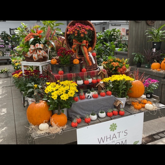 Meet your Posher, Sandra - Picture 1 of 2